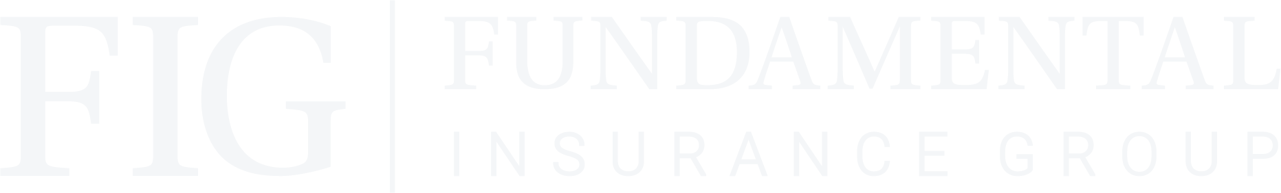 Fundamental Insurance Group Logo